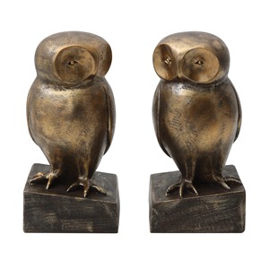 Sujetalibros Modernos de Aluminio con Forma de Búho, Juego de Sujetalibros Pesados con Diseño de Aves, Decoración Académica para Biblioteca, Soportes para Libros Rústicos y Elegantes, Regalo de Cumpleaños - Product Image 1