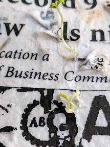 Etiquettes pour vêtements personnalisées Etiquettes élégantes en papier faites à la main pour la marque de vêtement Etiquettes pour ficelle de jute pour sacs fabriquées à partir de corde de jute de chanvre - Product Image 5