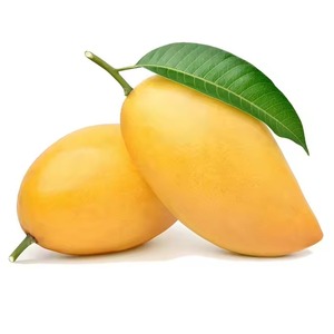 Mango Fresco Variedad Alphonso en Existencia para Venta Entrega Rápida Precio Bajo Comprar al por Mayor Dulce Natural Exportación Mundial Grado - Product Image 6