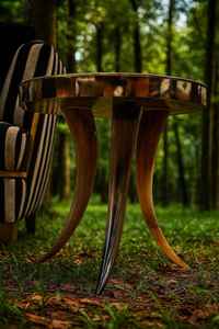 Mesa de Centro Moderna con Base de Cuerno y Marco Elegante para Interiores Minimalistas, Mesa de Centro Premium de Cuerno de Vaca - Product Image 3