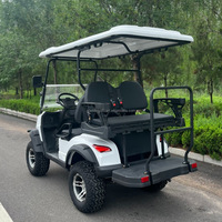Voiturette de golf tout-terrain Voiturette de golf électrique Voiturette de golf touristique électrique Véhicule utilitaire Buggy de route légal