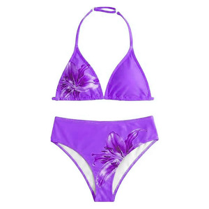 Conjunto de Bikini Triangular con Estampado Floral, Top Halter, Braguita de Cintura Alta, Traje de Baño para Mujer, Tela Elástica de Secado Rápido, Ropa de Playa - Product Image 6