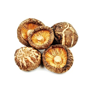 เห็ดแห้งธรรมชาติ เห็ดชิตาเกะแห้ง แกนเห็ด รากเห็ด - Product Image 2