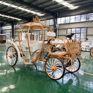 Carruaje Eléctrico de Cenicienta Dorado con Interior Blanco, Carroza para Paseos al Aire Libre, Transporte Especial, Carruajes de Caballos - Product Image 5