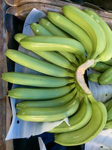 Plátano Cavendish fresco estándar de exportación con cultivo común de calidad superior de Vietnam-Venta caliente 2024 - Product Image 2