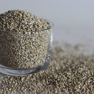 Millet perlé jaune sans OGM Superfood Grains biologiques de qualité supérieure Sans gluten Riche en nutriments à haute teneur en protéines Nouvelle culture Faible humidité - Product Image 3