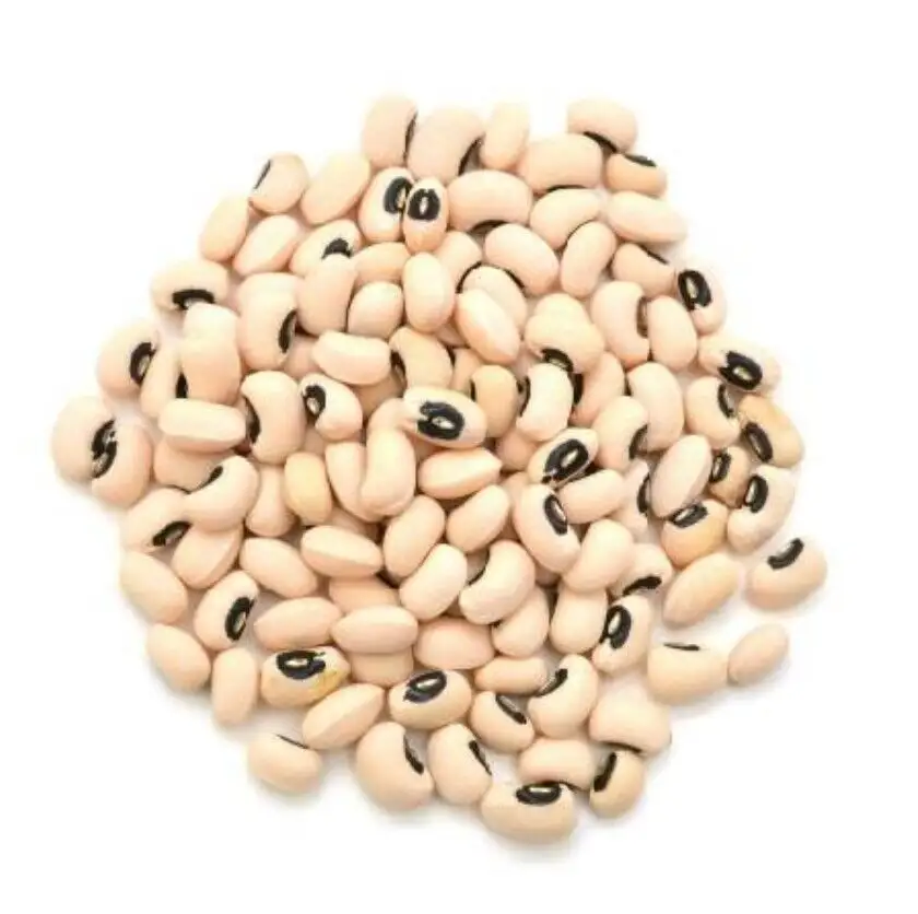 Solid Natural Black Eye White Beans Cowpea Beans Organic Black Eye White Beans For Sale