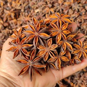 VIETNAM ÉPICES-ANIS ÉTOILE-Bon produit de haute qualité Prix de gros raisonnable - Product Image 1