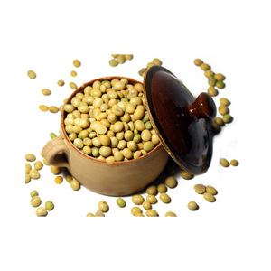 Bolsa de 50kg de germinación y semilla de soja amarilla seca de grado alimenticio soja no Gmo - Product Image 5