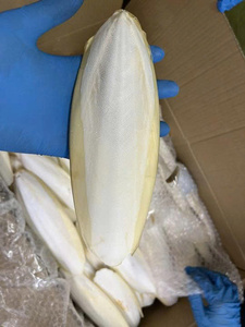 Cuttlebone seco de alta calidad para pájaro loro mascota juguete paquete OEM precio competitivo - Product Image 3