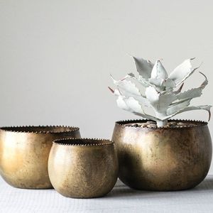 Elegante maceta de metal redonda con revestimiento de acabado dorado para mostrar flores exóticas en el área de entrada de su hogar - Product Image 6