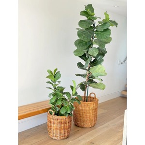 Cesta redonda multiusos de ratán, cesta de almacenamiento hecha a mano, venta al por mayor, ecológica, hecha en Vietnam - Product Image 6