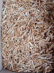 Anchois séchés petits poissons Chirimen sans tête Vietnam Emballage de saison de haute qualité Séchage personnalisé - Product Image 5