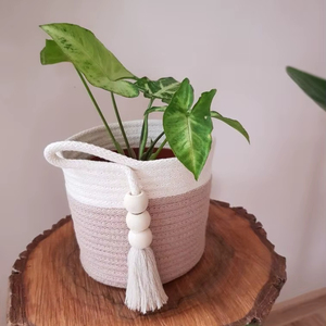 Macetero de Macramé Ecológico para un Estilo de Vida Sostenible que Promueve Materiales Naturales y Decoración Ecológica - Product Image 1