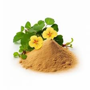 <b>Best</b> Quality Herbal Brahmi Powder Bacopa Monnieri Reliable Private Label Factory Supply for OEM - Product Image 2