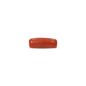 พลอยปะการังสีแดงขัดเงา 8.75 กะรัต สีขาว สูง 8 มม. - Product Image 2
