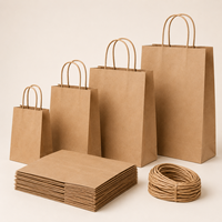Sac en papier compostable à poignée torsadée, sans plastique, en kraft, pour le commerce de détail bio, la boulangerie, l'emballage alimentaire, la vente en gros, en vrac, OEM