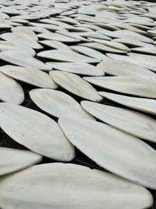 Offre Spéciale os de seiche Calcium naturel pour oiseaux Reptiles lapins soin du bec soutien de la coquille et projets d'artisanat de bricolage - Product Image 5