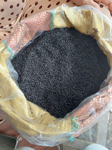 Proveedor de semillas de albahaca de alta calidad de Vietnam/Especias de Vietnam - Product Image 4