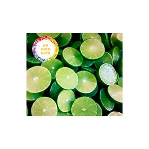 Lima 100% natural sin semillas de calidad superior de fruta verde fresca de Vietnam para exportación y suministro al por mayor - Product Image 6