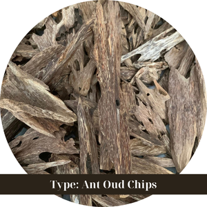 ธูปไม้กฤษณาแท้ 100% ตรา TRIPLE Super King Ant Oud พร้อมเตาเผา กลิ่นหอมหวานเข้มข้น ยอดขายอันดับหนึ่งของเวียดนาม - Product Image 5