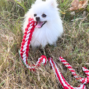 Juguete de Cuerda Trenzada para Mascotas con Diseño de Bastón de Algodón de Azúcar, Juguete de Lujo para Perros, Duradero y Bonito, Empacado en Bolsa - Product Image 3