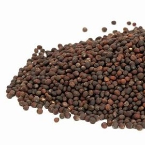 Entrega rápida de semillas de colza secas naturales orgánicas y puras de Austria con 3 años de vida útil a precios de mercado - Product Image 5