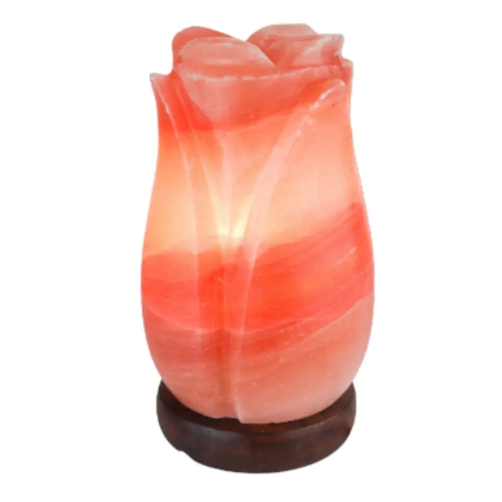Bask in Elegance Himalaya Pink Crystal Salz lampe in zarter Rosen form-Sian Enterprises