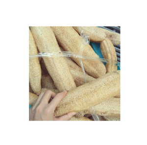 Éponge luffa écologique faite à la main, luffa naturel biodégradable pour exfolier le corps, laver la vaisselle et vivre sans déchets - Product Image 1