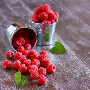 Framboises lyophilisées 1000 g - 100% fruits, sans sucre ajouté, sucrées et croustillantes, sans OGM - Snack et garniture végétaliens - Product Image 4