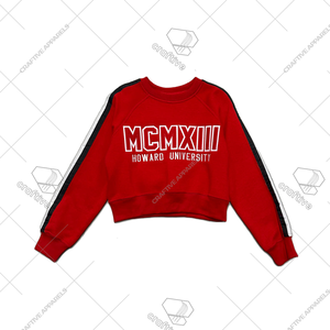 Delta Sigma Theta MCMXIII DST Sudadera Pullover Varsity Greek Merch - Product Image 1