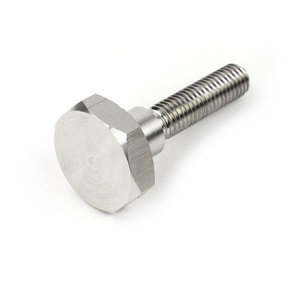 สกรูหัวหกเหลี่ยมแบบกำหนดเองทำจากสแตนเลส สกรูหัว Torx แบบ OEM สกรูสแตนเลสที่ไม่ได้มาตรฐาน - Product Image 1