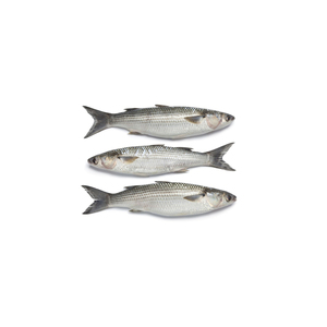 Pescado de salmón entero a granel/pescado fresco congelado - Product Image 5