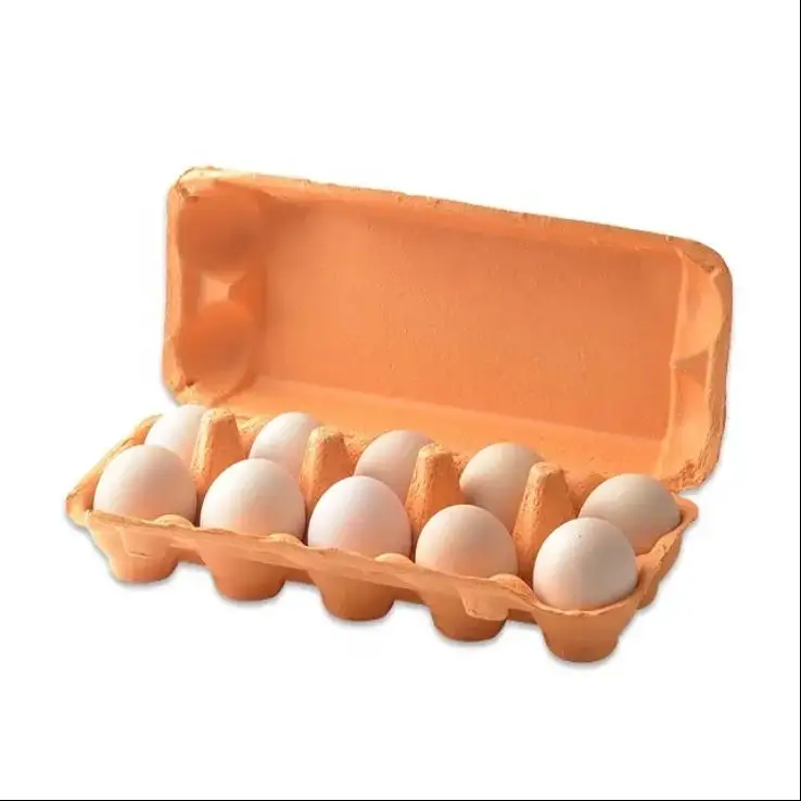 Baki karton telur kertas berwarna mudah terurai 10 untuk telur organik