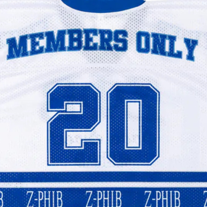 Zeta <b>White</b> <b>Crop</b> Oversized Football Jersey Womens Greek Sorority Mesh Athletic <b>Top</b> Zeta Phi Beta 1920 Inspired Style - Product Image 4