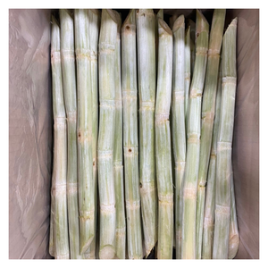 Caña de azúcar congelada Premium de Vietnam por 99GD con alto contenido de jugo Caña de azúcar congelada perfecta para barras de jugo y uso de exportación - Product Image 2