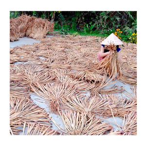 Fabriquez facilement à l'aide de la jacinthe d'eau: un matériau naturel et tendance pour créer des accents de maison populaires et faciles à fabriquer, polyvalents - Product Image 3
