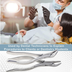 Forceps d'extraction dentaire MEDIVA ESSENCE, manuel, acier inoxydable japonais, qualité A+, certifié CE, poignée ergonomique, mâchoire 30 - Product Image 2