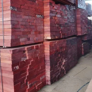 Tronco de madera Padauk africano de alta calidad/madera/aserrada con precio negociable para muebles de suelo y otros objetos de madera - Product Image 2