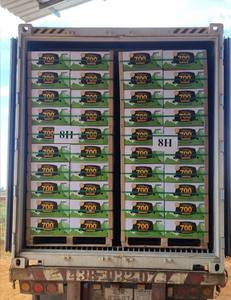 Fresh Cavendish <b>Bananas</b> Export Quality - Vietnam <b>Sweet</b> Yellow <b>Banana</b> for International Market Wholesale Bulk Price - Product Image 6