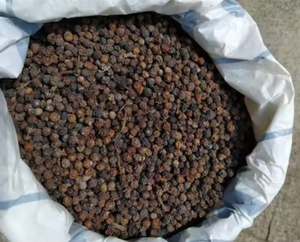 Pimienta Negra 100% Natural de Alta Calidad, Grado A, 24 Meses de Vida Útil, Almacenamiento en Frío, Proveedor de Sudáfrica, Precio Competitivo - Product Image 4