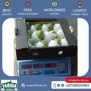 Fournisseur d'origine égyptienne de la meilleure qualité, goût délicieux, mangues aux fruits frais 100% naturelles pour l'achat en gros à un prix fiable - Product Image 4