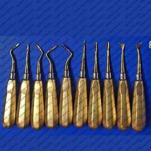 Juego de Elevadores Dentales Alemanes de Venta Caliente, 10 Piezas, Recubiertos de Titanio, Reutilizables, Instrumentos Quirúrgicos para Extracción Dental, Certificación CE ISO - Product Image 1