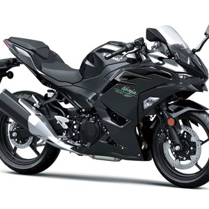 TOP RATED 2024 Ninja 500 <b>Motorcycle</b> - Product Image 1