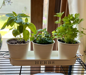 Lot <span class=keywords><strong>de</strong></span> 3 jardinières d'herbes en métal avec plateau, pots <span class=keywords><strong>de</strong></span> jardin d'herbes d'intérieur <span class=keywords><strong>pour</strong></span> <span class=keywords><strong>rebord</strong></span> <span class=keywords><strong>de</strong></span> fenêtre <span class=keywords><strong>de</strong></span> cuisine, pots <span class=keywords><strong>de</strong></span> fleurs en étain blanc avec poignées - Product Image 5