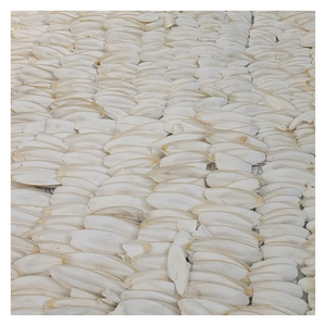 Accessoire de cage à oiseaux: os de seiche séché au soleil naturel, texture ferme, soutient la santé du bec, disponible en vrac pour une expédition rapide - Product Image 2