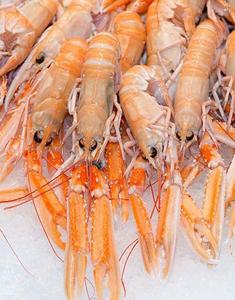 กุ้งล็อบสเตอร์นอร์เวย์ แช่แข็ง บรรจุกล่อง อายุการเก็บรักษา 18 เดือน โปรตีนสำหรับใช้ในอาหาร - Product Image 1