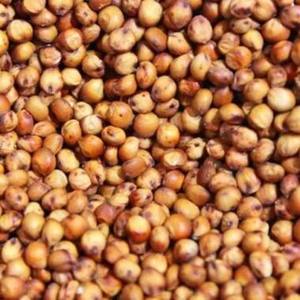 Sorgo Seco de Grano Entero, Color Moteado, Limpio y Clasificado, Cereal Grueso Sin Gluten, Grado Alimenticio, Suministro a Granel en Venta - Product Image 1