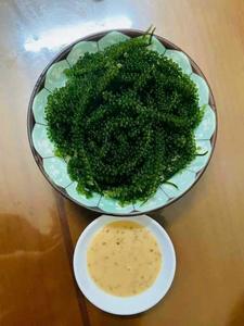 สาหร่ายทะเลอบแห้งคุณภาพพรีเมียม (Caulerpa Lentillifera) สำหรับตลาดส่งออก - Product Image 5