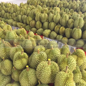 พรีเมี่ยมคุณภาพเกรดเวียดนามแช่แข็ง Ri6ทุเรียนผลไม้จากเวียดนามผลิต - Product Image 6